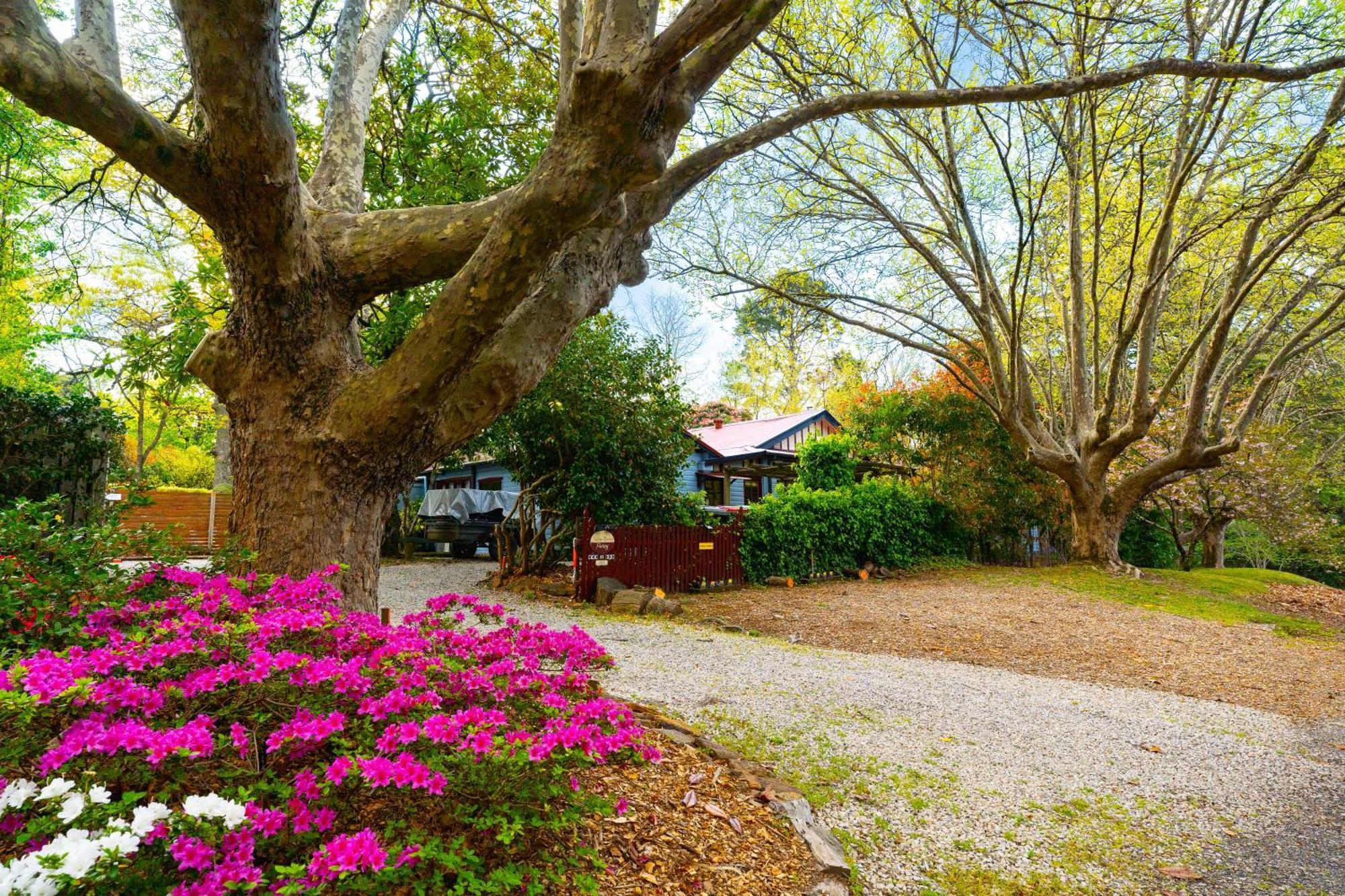 Kubba Roonga Guesthouse - Boutique Luxury Spa Retreat & Gardens - Blue Mountains Blackheath Luaran gambar