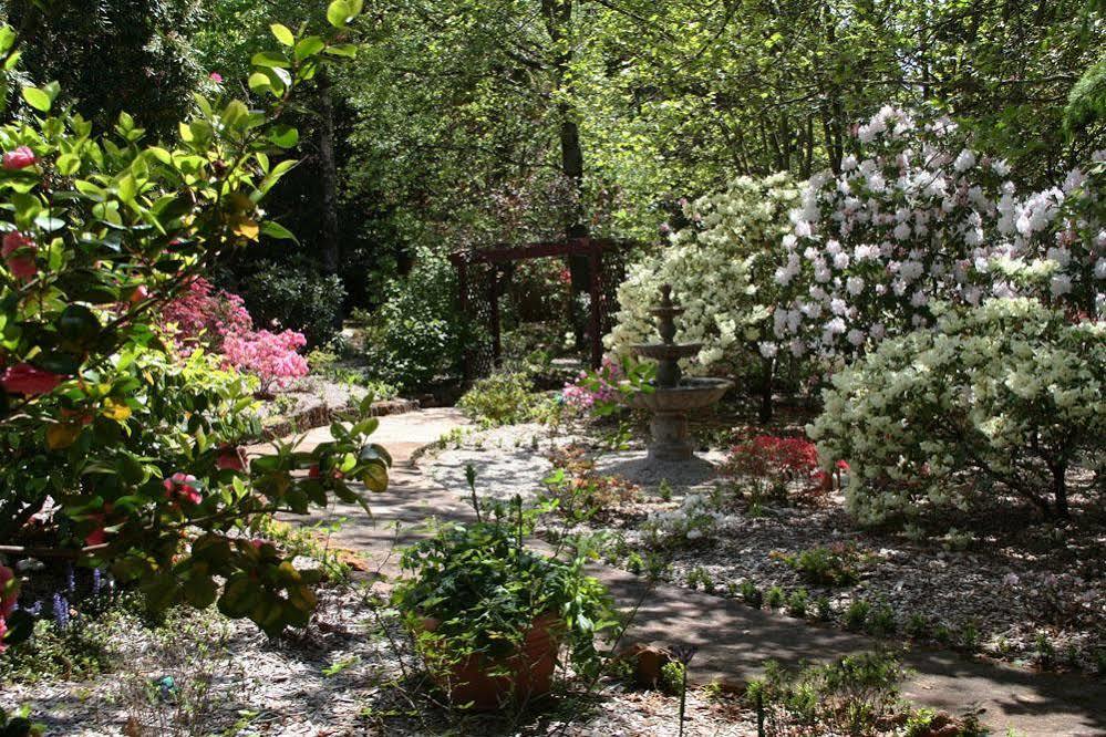 Kubba Roonga Guesthouse - Boutique Luxury Spa Retreat & Gardens - Blue Mountains Blackheath Luaran gambar